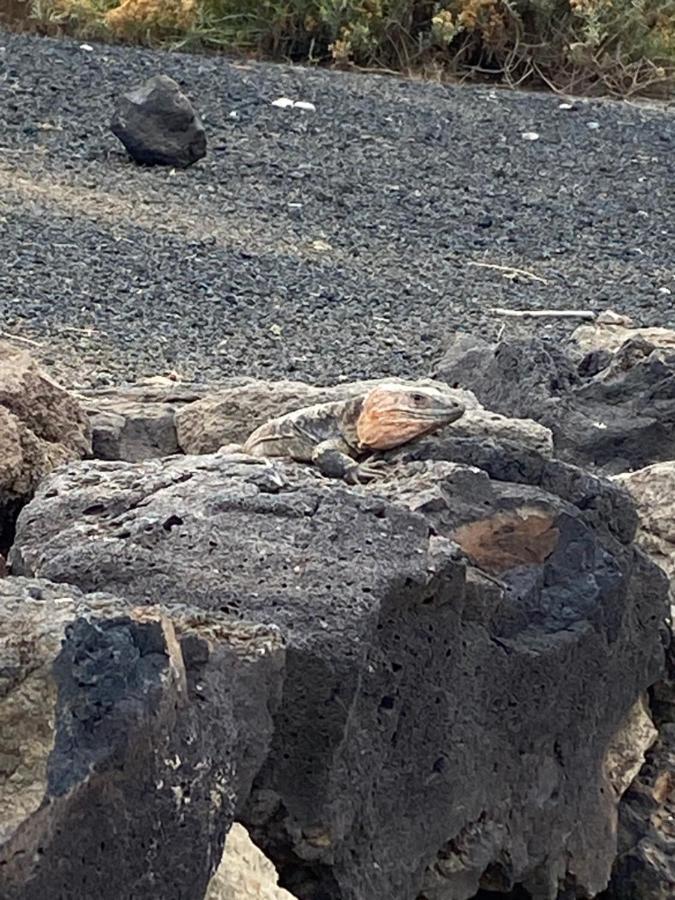 Leilighet El Atico Del Mar 5b Las Palmas de Gran Canaria